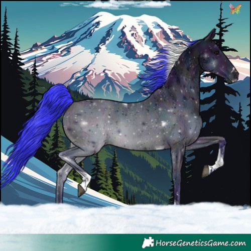 Horse Color:Watercolor Midnight Brown Ice Dun Tobiano