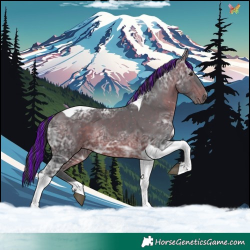 Horse Color:Painted Brown Ice Tobiano 