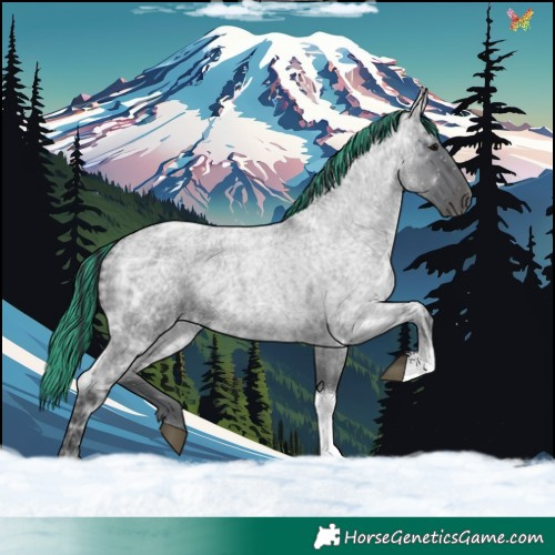 Horse Color:Painted Blue Ice Roan Tobiano 