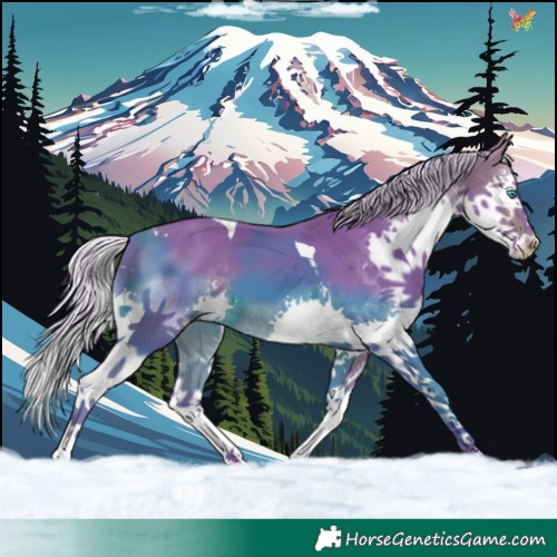 Horse Color:Watercolor Silver Bay Splash Tobiano 