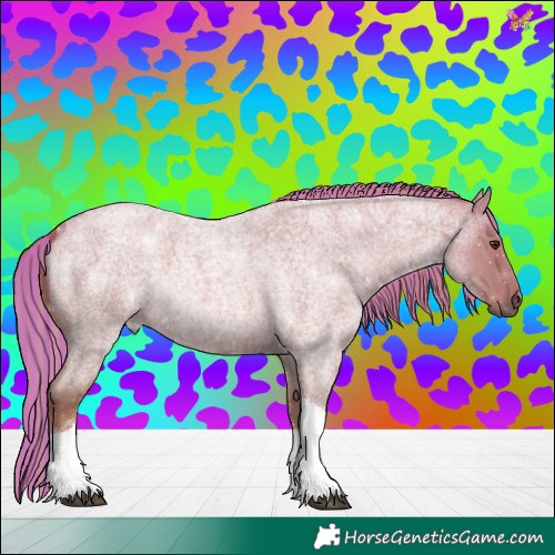 Horse Color:Painted Red Roan Tobiano Rabicano 