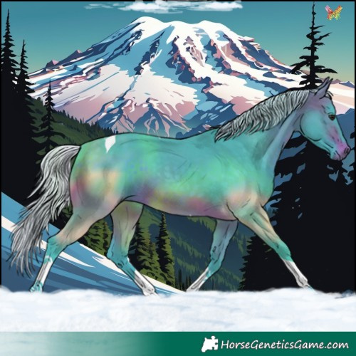 Horse Color:Watercolor Silver Brown Tobiano 
