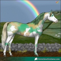 Horse Color:Watercolor Brown Splash Tobiano