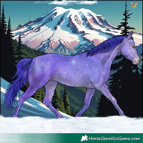 Horse Color:Watercolor White Spotted Sable Champagne