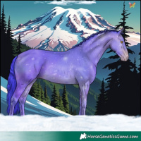 Horse Color:Watercolor White Spotted Sable Champagne 
