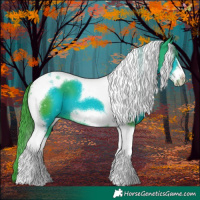 Horse Color:Watercolor Black Tobiano Frame 