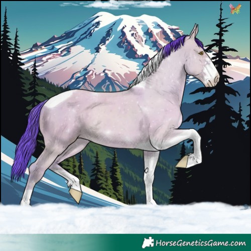 Horse Color:Watercolor Classic Champagne Dun Sabino Tobiano 