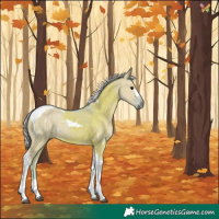 Horse Color:Watercolor Silver Grullo Tobiano 