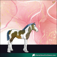 Horse Color:Painted Bay Splash Tobiano 