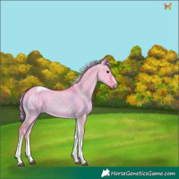 Horse Color:Watercolor White Spotted Red Dun Tobiano