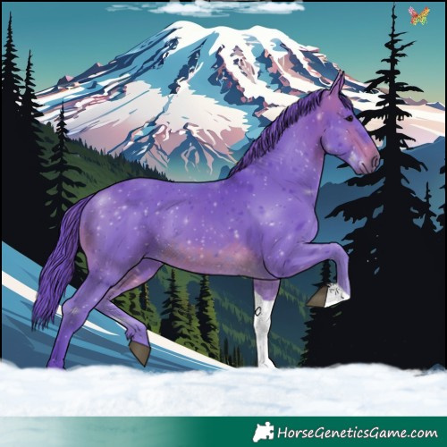 Horse Color:Watercolor White Spotted Brown Tobiano