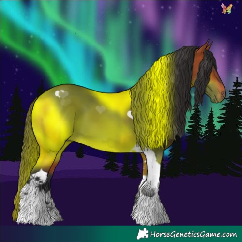 Horse Color:Bay Tobiano 