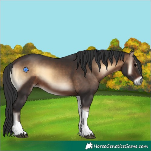 Horse Color:Brown Onyx Tobiano 
