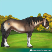 Horse Color:Brown Onyx Tobiano 