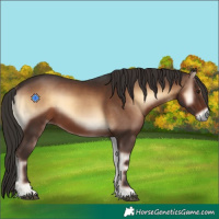 Horse Color:Liver Red Onyx 