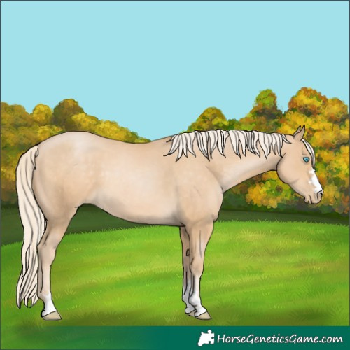 Horse Color:Palomino Pearl 