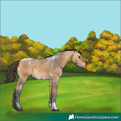 Horse Color:Buckskin Ice Tobiano 