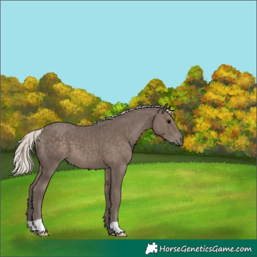 Horse Color:Silver Black