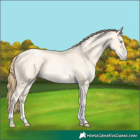 Horse Color:Buckskin Pearl Dun Sabino 