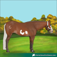 Horse Color:Silver Brown Frame