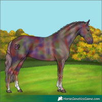 Horse Color:Nacre Chocolate Palomino Sabino