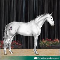 Horse Color:Gray Black Sabino Splash