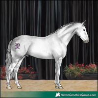 Horse Color:Gray Black Sabino Splash