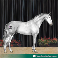 Horse Color:Gray Black Sabino Splash 