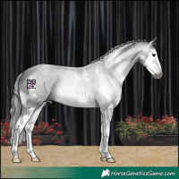 Horse Color:Gray Black Sabino Splash 