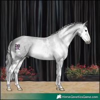 Horse Color:Gray Black Sabino Splash 