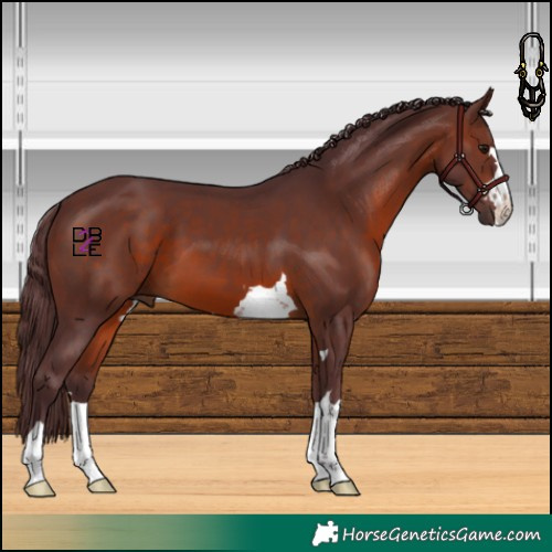 Horse Color:Chocolate Brown 