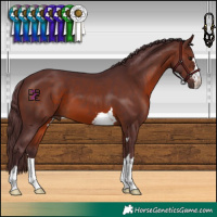 Horse Color:Chocolate Brown