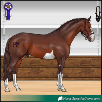 Horse Color:Chocolate Brown