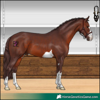 Horse Color:Chocolate Brown