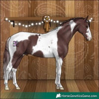 Horse Color:Chocolate Black Tobiano