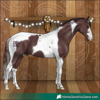 Horse Color:Chocolate Black Tobiano 