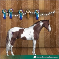 Horse Color:Chocolate Black Tobiano 