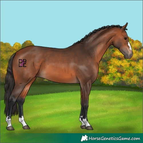 Horse Color:Brown 