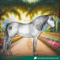 Horse Color:Gray Brown Chinchilla