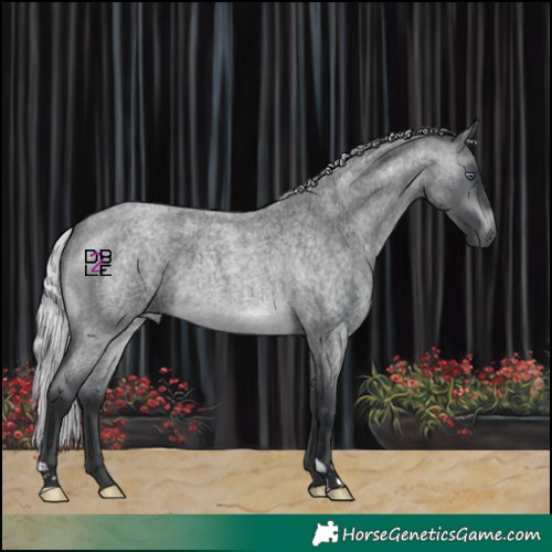 Horse Color:Silver Brown Chinchilla Roan Mushroom 