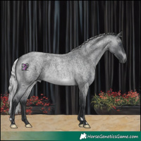 Horse Color:Silver Brown Chinchilla Roan Mushroom 