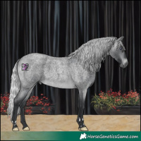 Horse Color:Silver Brown Chinchilla Roan Mushroom