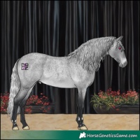 Horse Color:Silver Brown Chinchilla Roan Mushroom 