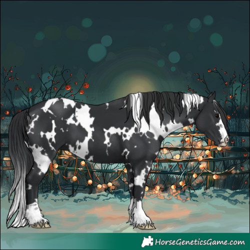 Horse Color:White Spotted Black