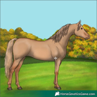 Horse Color:Red Dun 