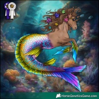 Horse Color:Black Pearl