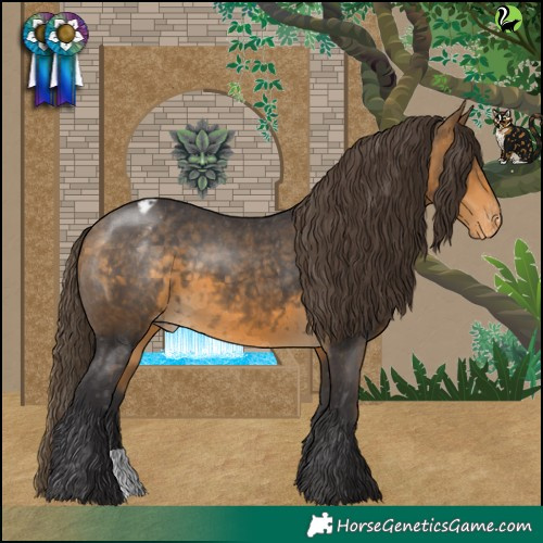 Horse Color:Buckskin Varnish 