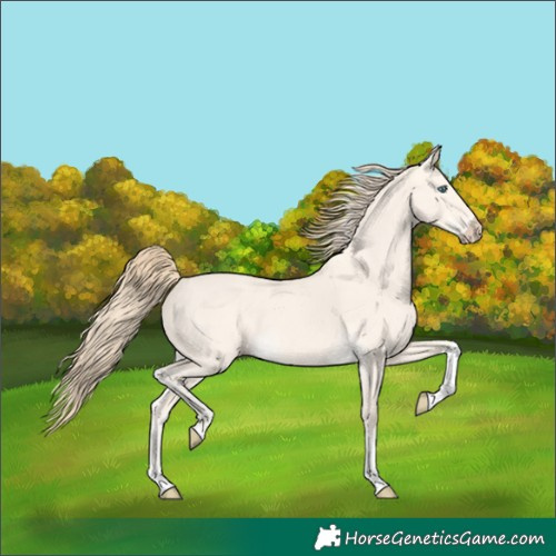 Horse Color:Perlino Dun Tobiano