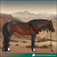 Horse Color:Brown 