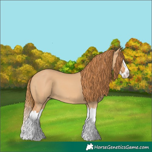 Horse Color:Red Dun Splash 